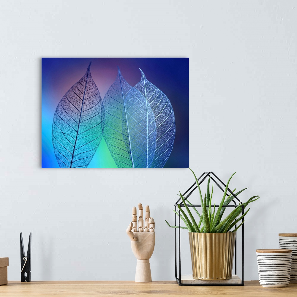 A bohemian room featuring Prismatic Leafs
