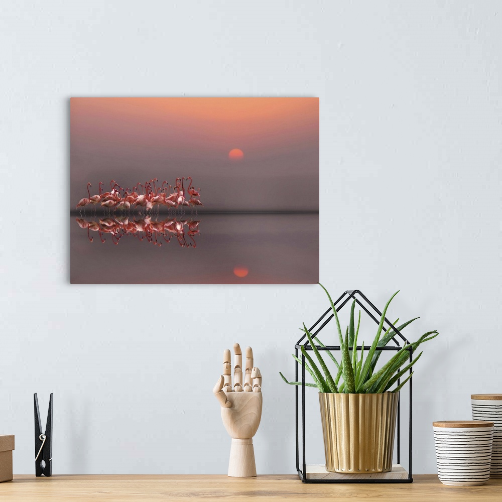 A bohemian room featuring A photograph of flamingos standing around in still water.