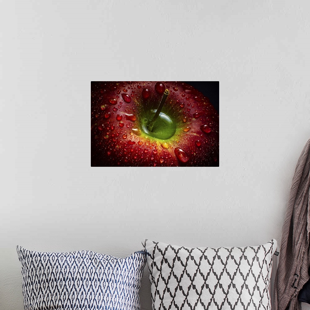 A bohemian room featuring Macro photograph of a dark red apple glistening with beads of water.