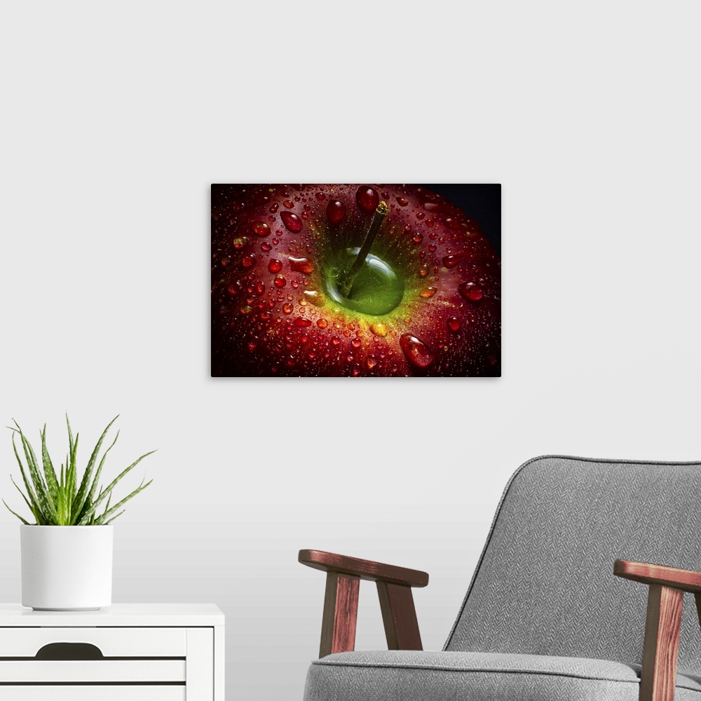 A modern room featuring Macro photograph of a dark red apple glistening with beads of water.