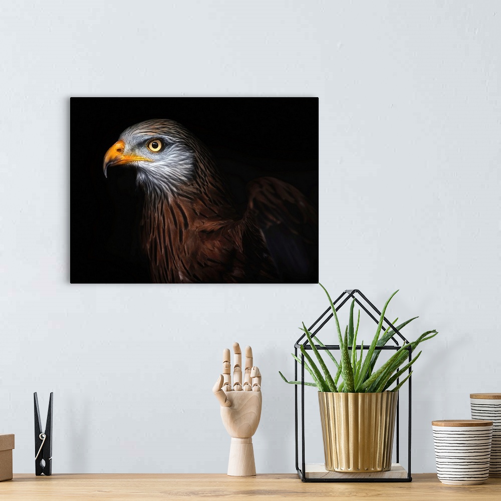 A bohemian room featuring Red Kite Portrait II