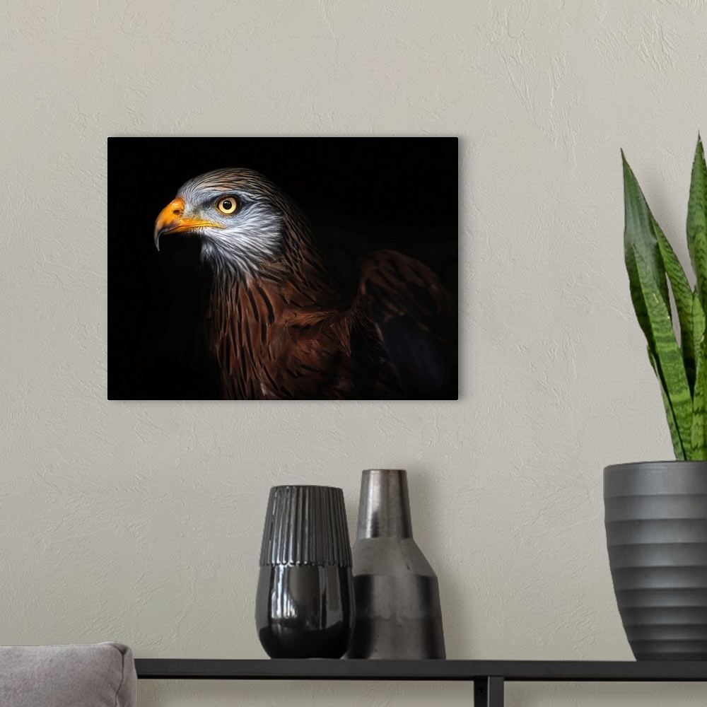A modern room featuring Red Kite Portrait II