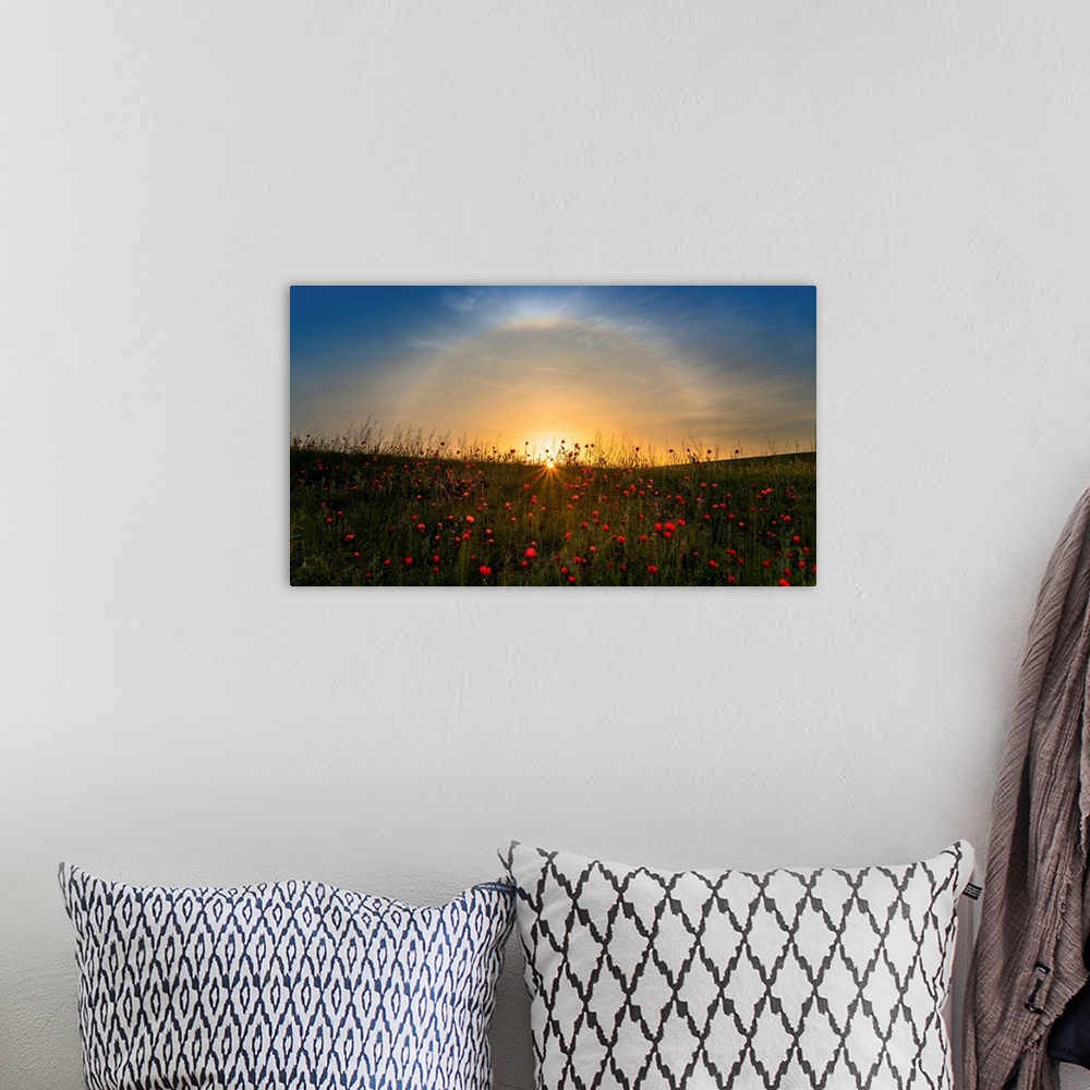 A bohemian room featuring Red Poppies And Sunrise