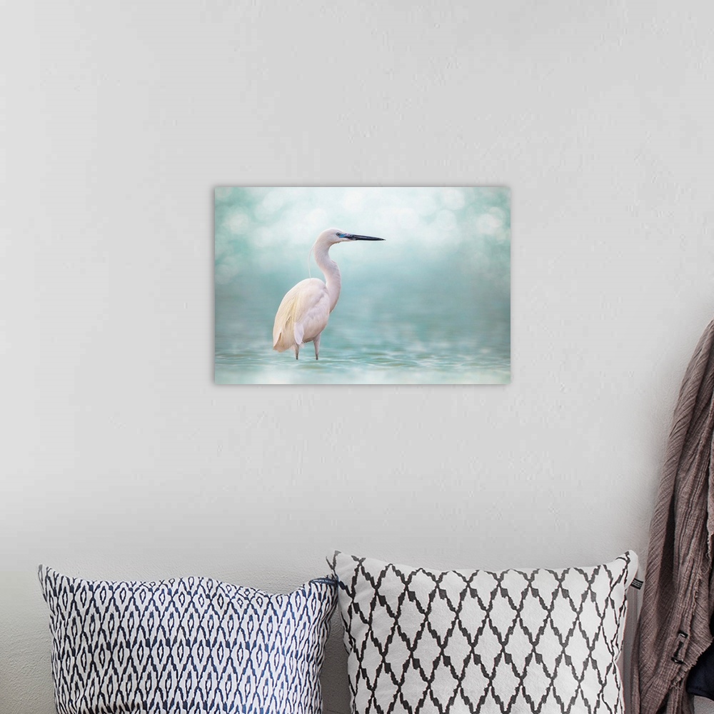 A bohemian room featuring Reef Heron