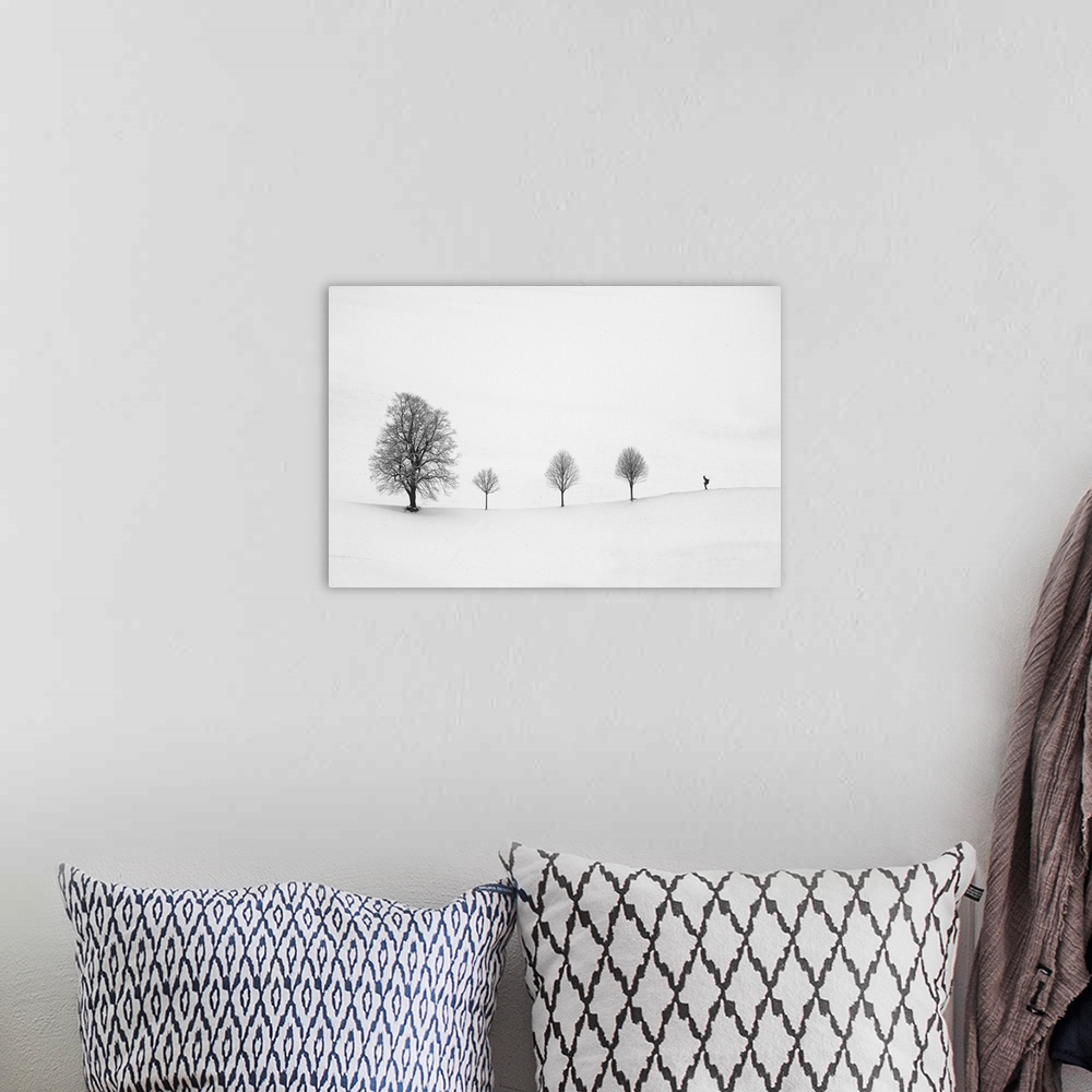 A bohemian room featuring Minimalist image of a row of three small trees with one larger tree and a skier.