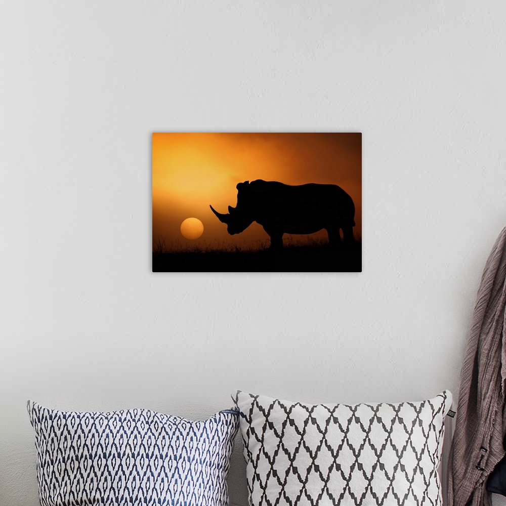 A bohemian room featuring A rhinoceros stands in silhouette in the African Savannah with the sun setting in the distance.
