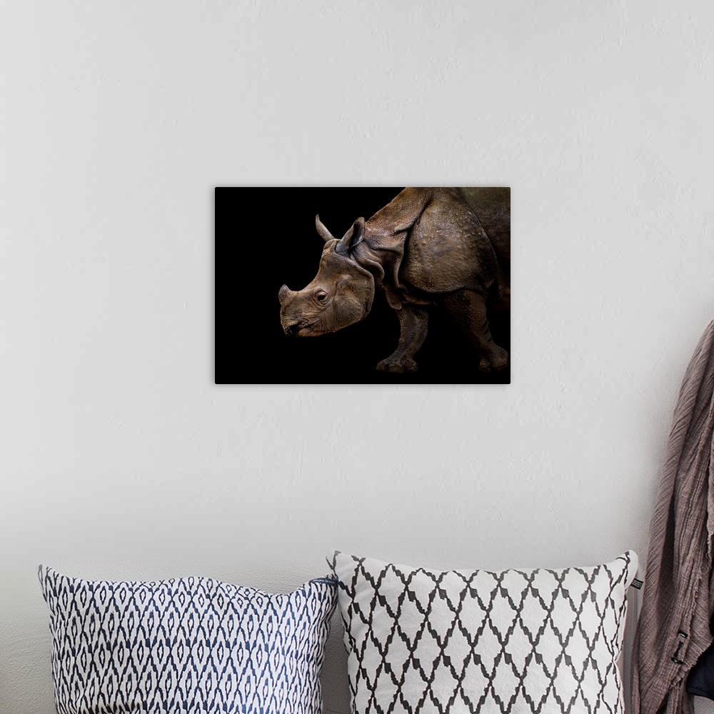A bohemian room featuring Rhinoceros