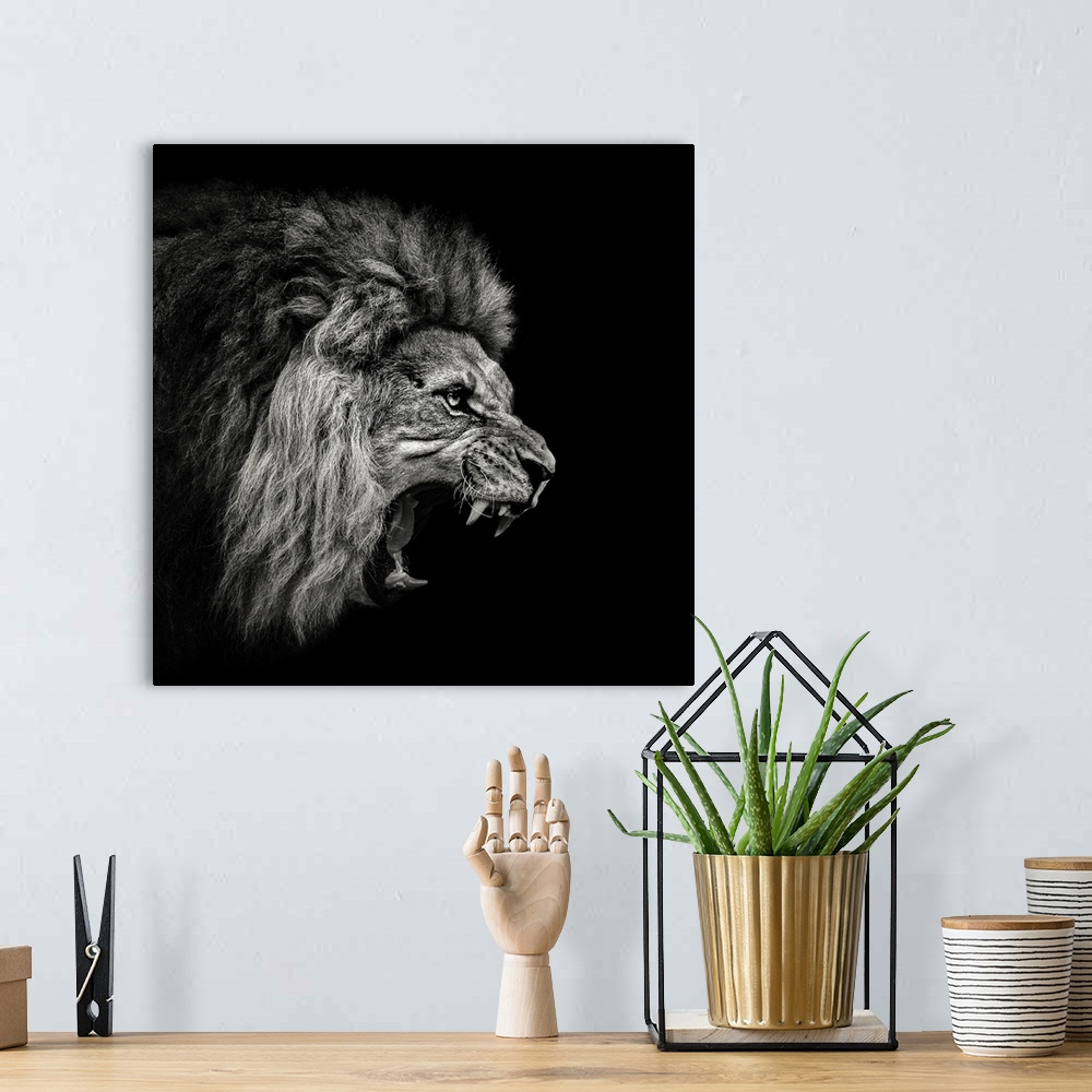 A bohemian room featuring Roaring Lion 2