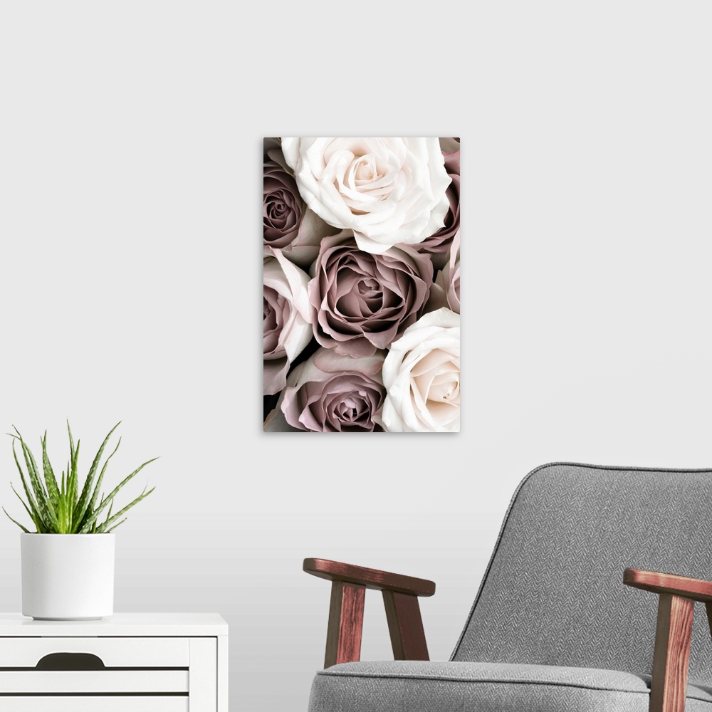 A modern room featuring Roses