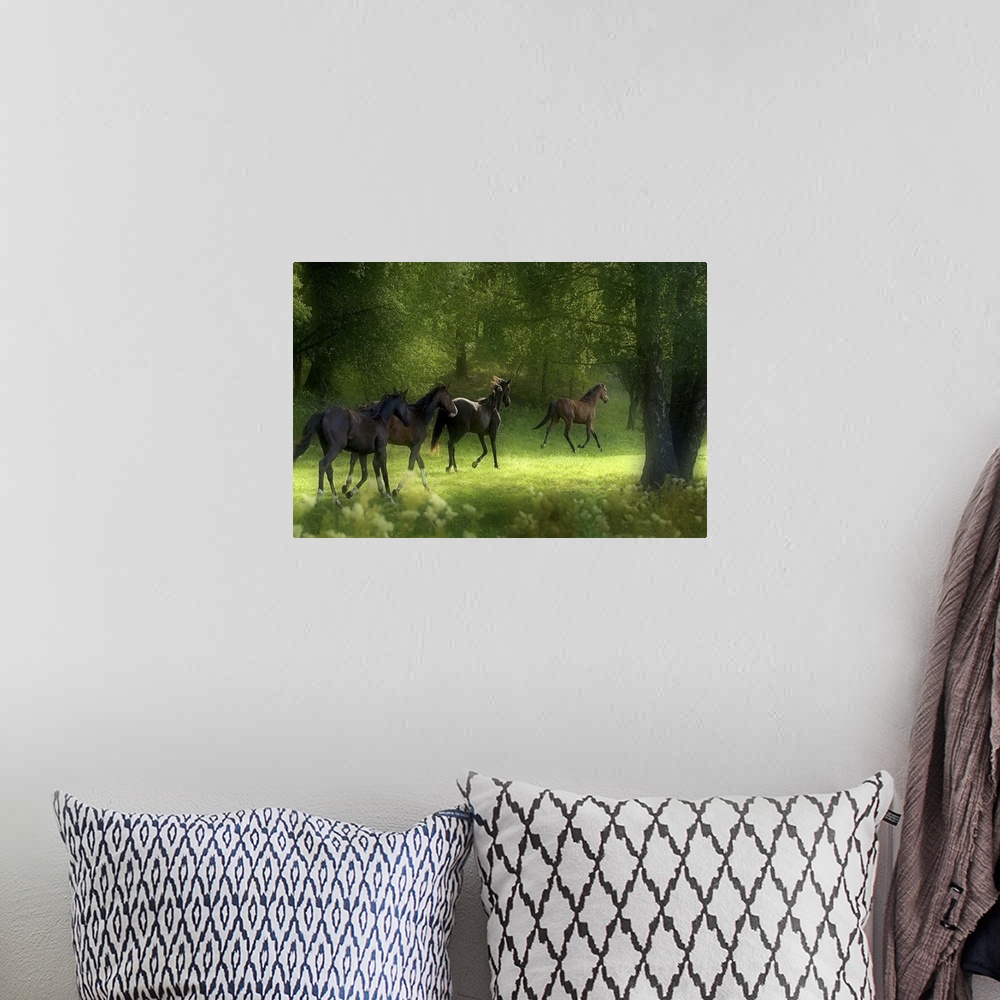 A bohemian room featuring Four horses trotting in a green forest grove in Sweden.