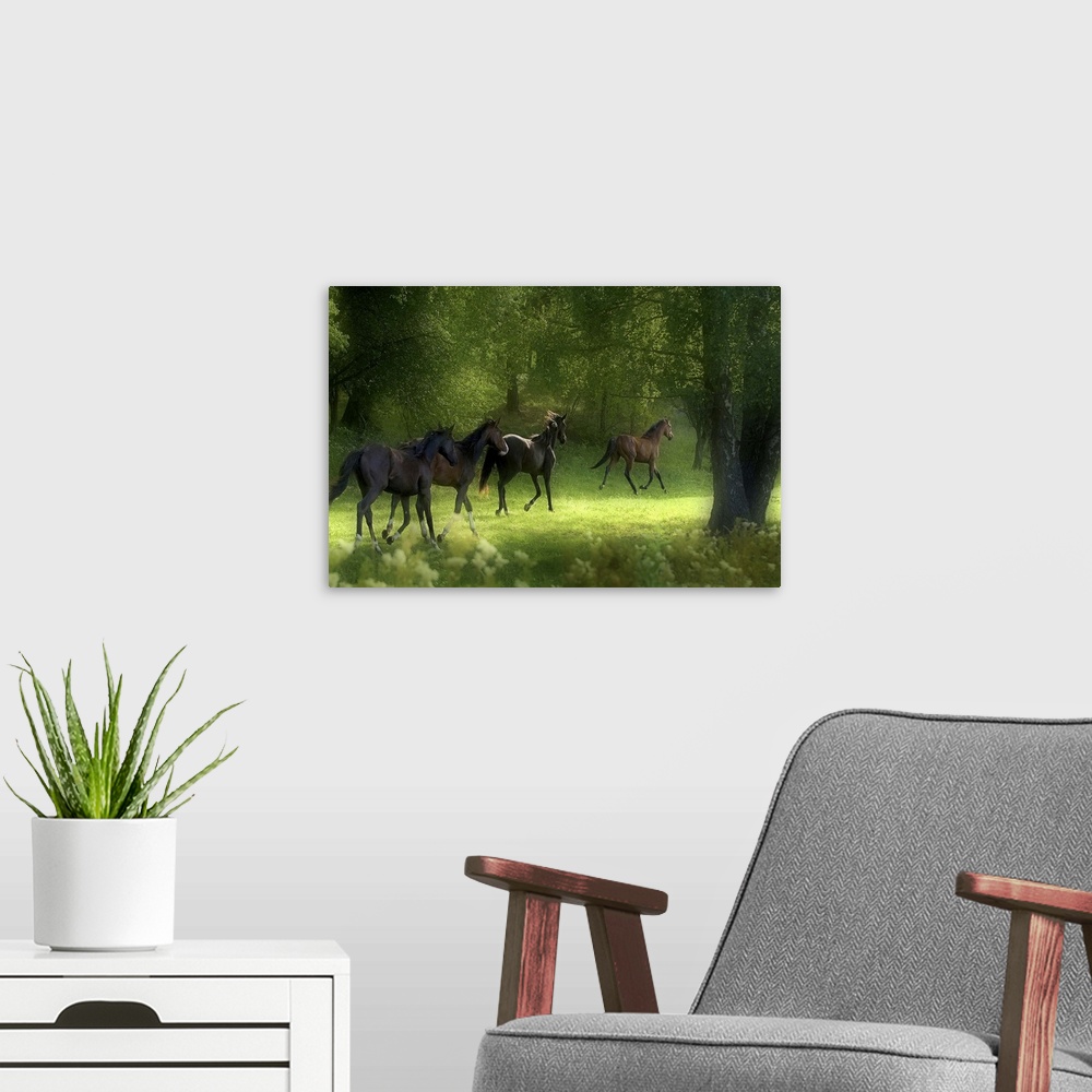 A modern room featuring Four horses trotting in a green forest grove in Sweden.
