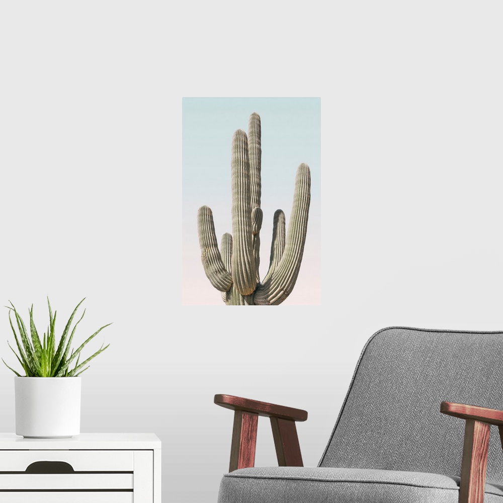 A modern room featuring Saguaro