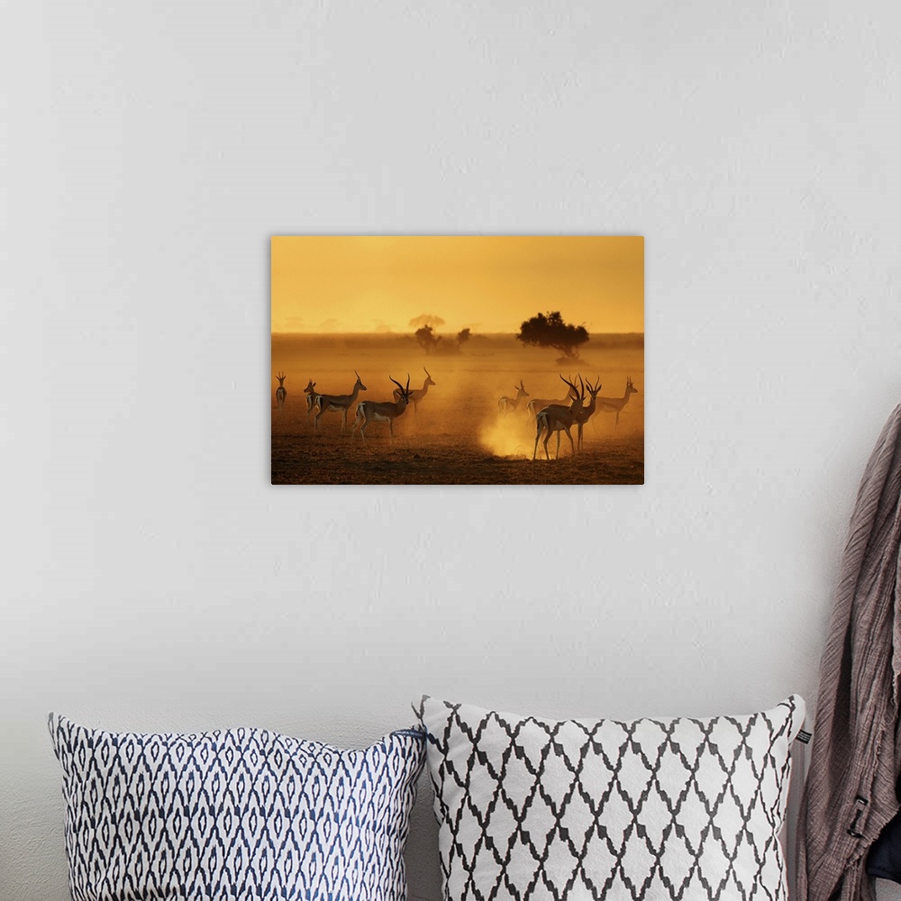 A bohemian room featuring Silhouetted antelopes on the African Savannah.