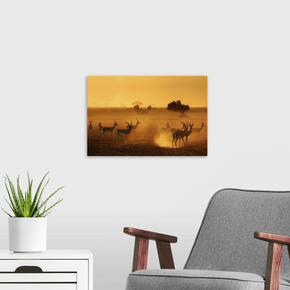 A modern room featuring Silhouetted antelopes on the African Savannah.