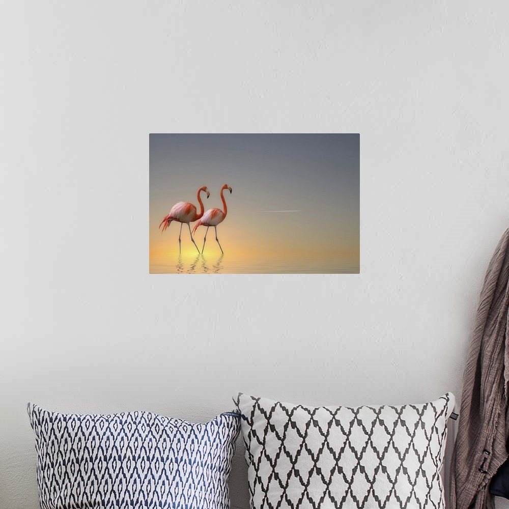 A bohemian room featuring Two Caribbean Flamingos walk in pastel-colored water.