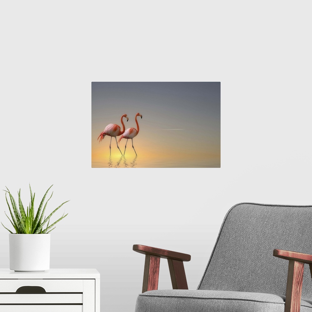 A modern room featuring Two Caribbean Flamingos walk in pastel-colored water.