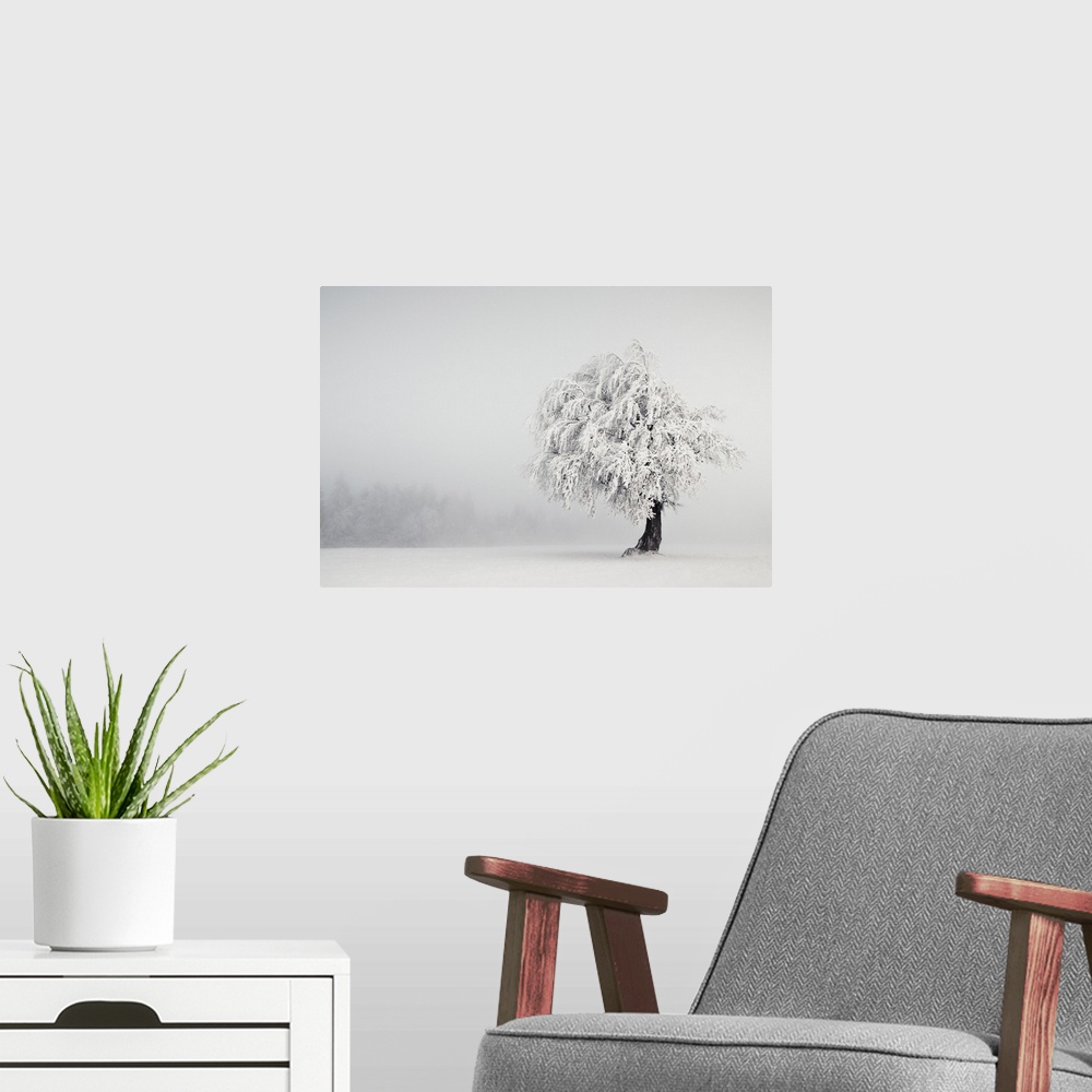 A modern room featuring A lonely tree stands in a winter landscape, its branches heavy with snow.