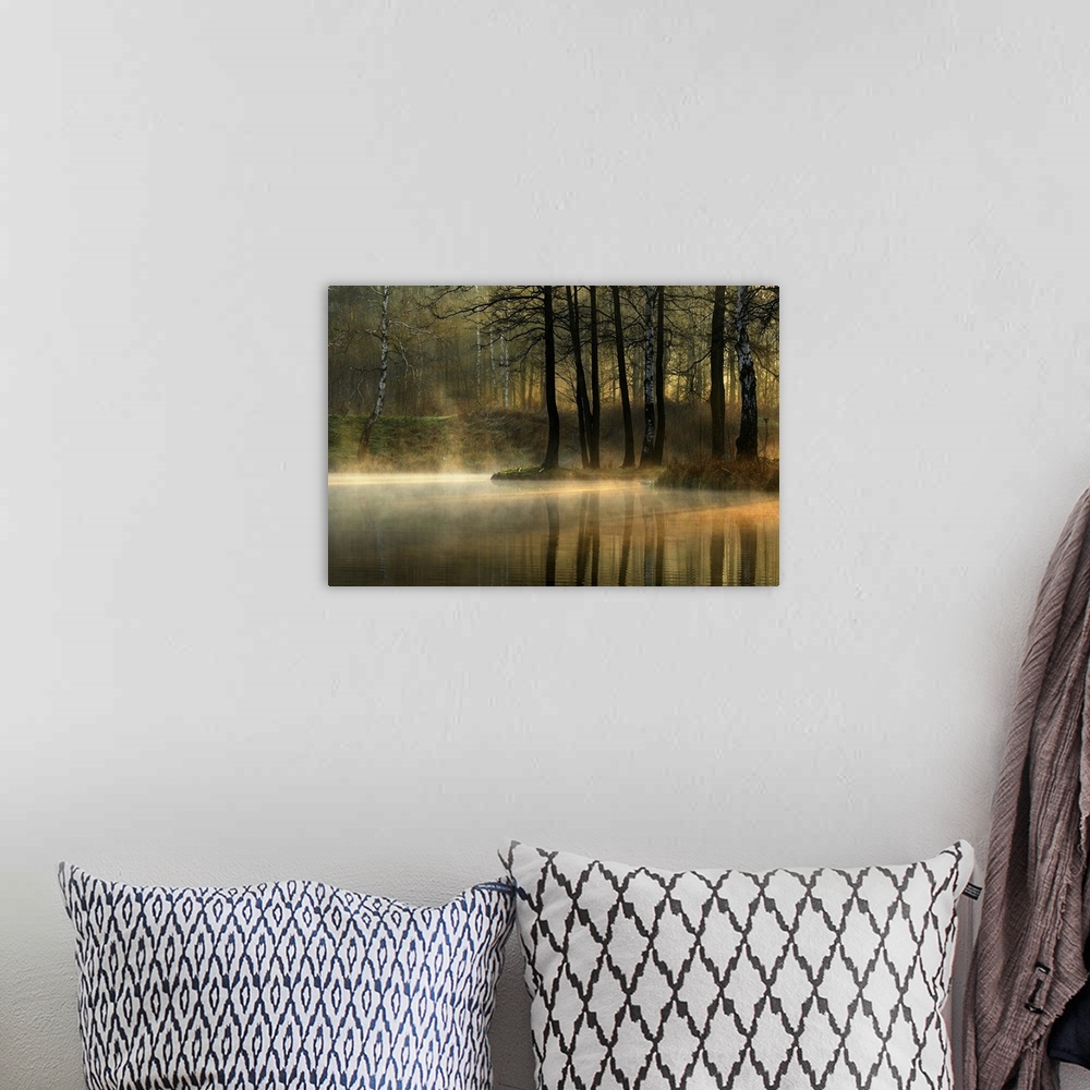 A bohemian room featuring Mist rising from a pond in a forest with morning light filtering through the trees.