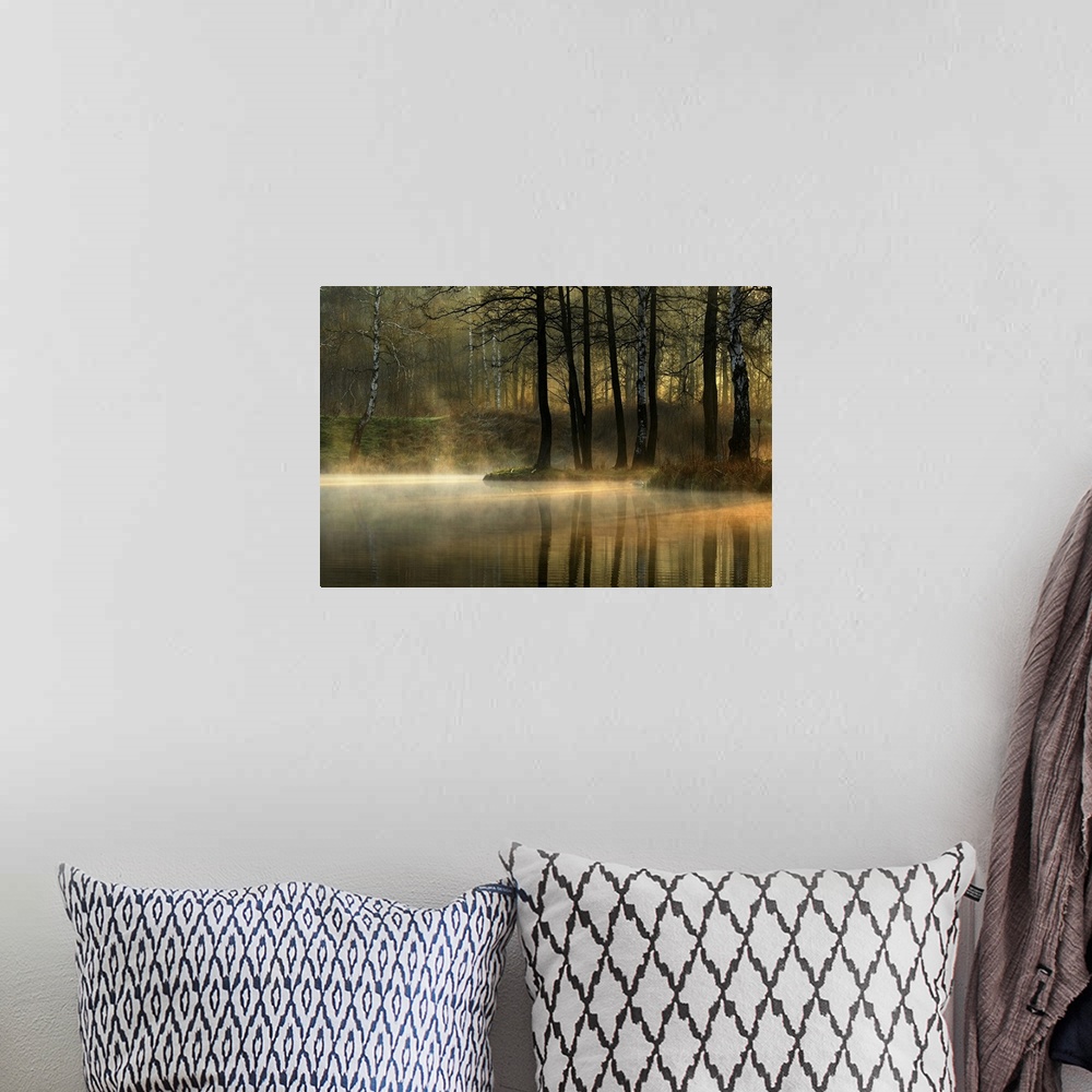 A bohemian room featuring Mist rising from a pond in a forest with morning light filtering through the trees.