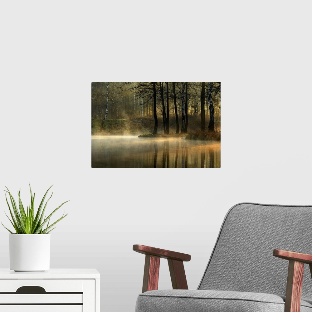 A modern room featuring Mist rising from a pond in a forest with morning light filtering through the trees.