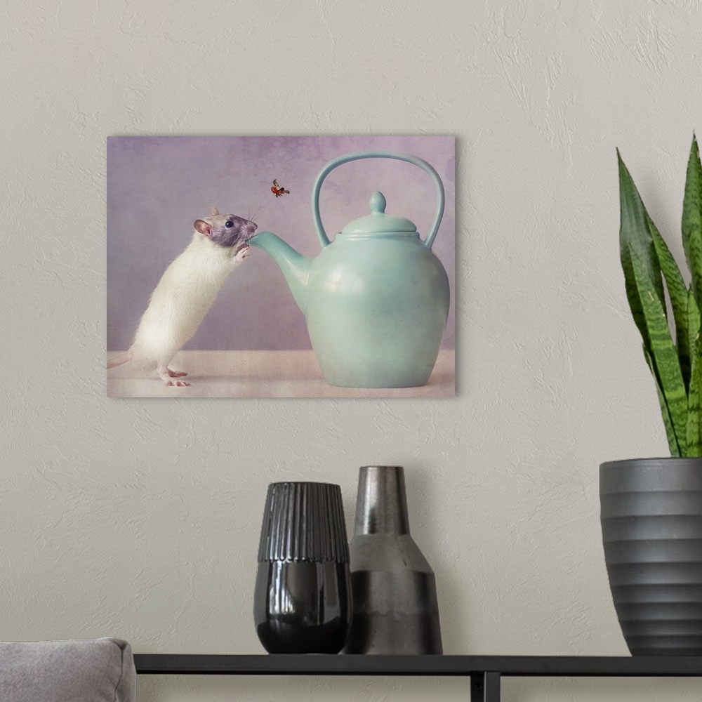 A modern room featuring Conceptual photograph of a mouse standing up to the spout of a teapot.