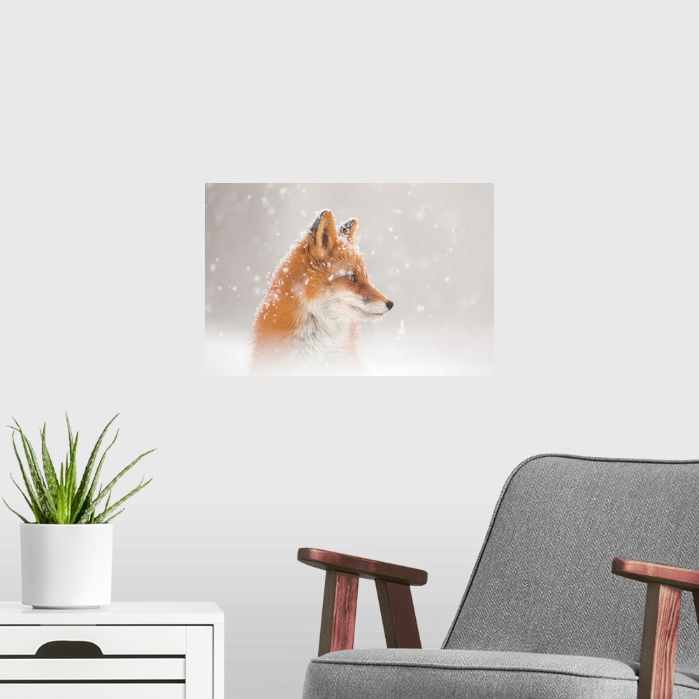 A modern room featuring Snow Is Falling