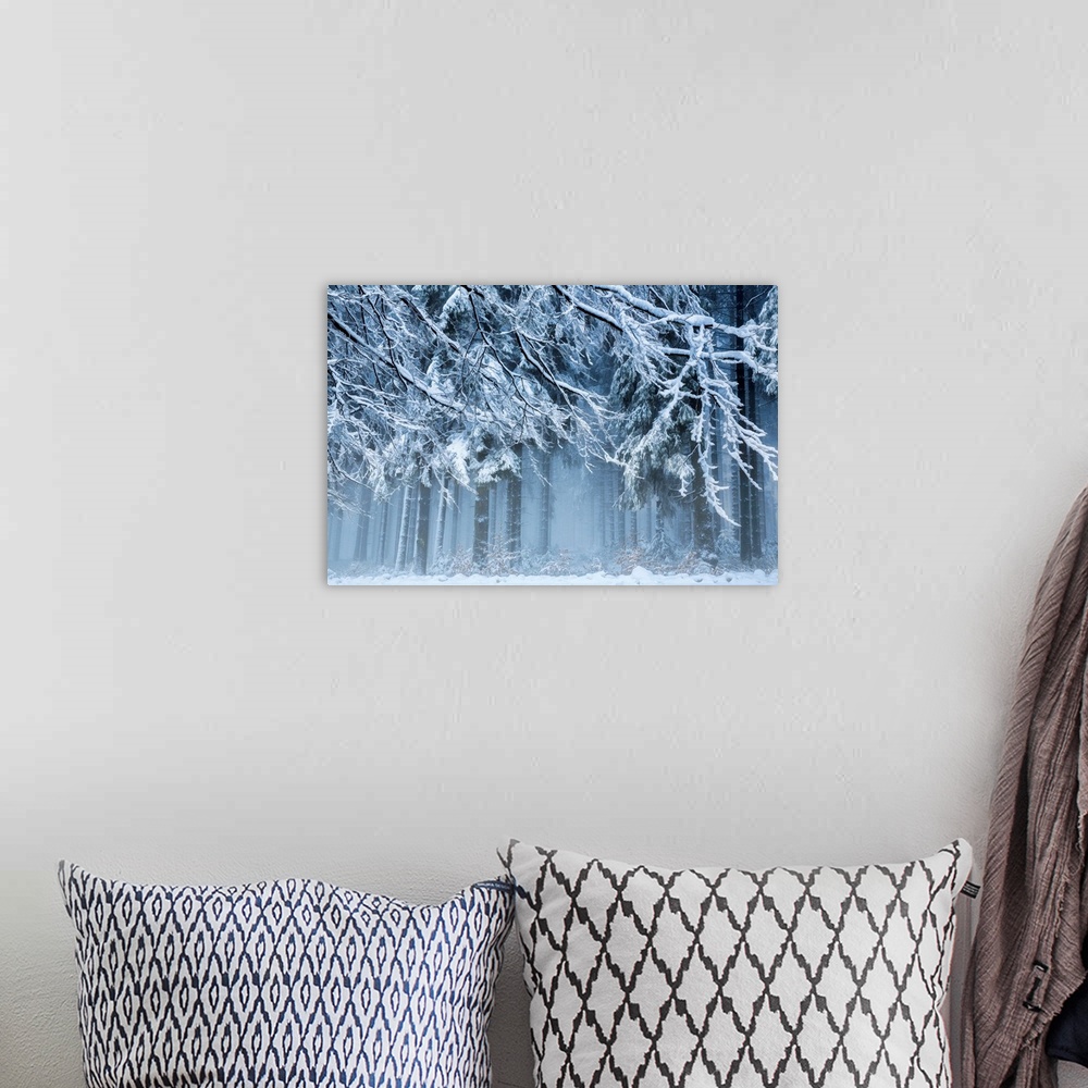 A bohemian room featuring Snow World