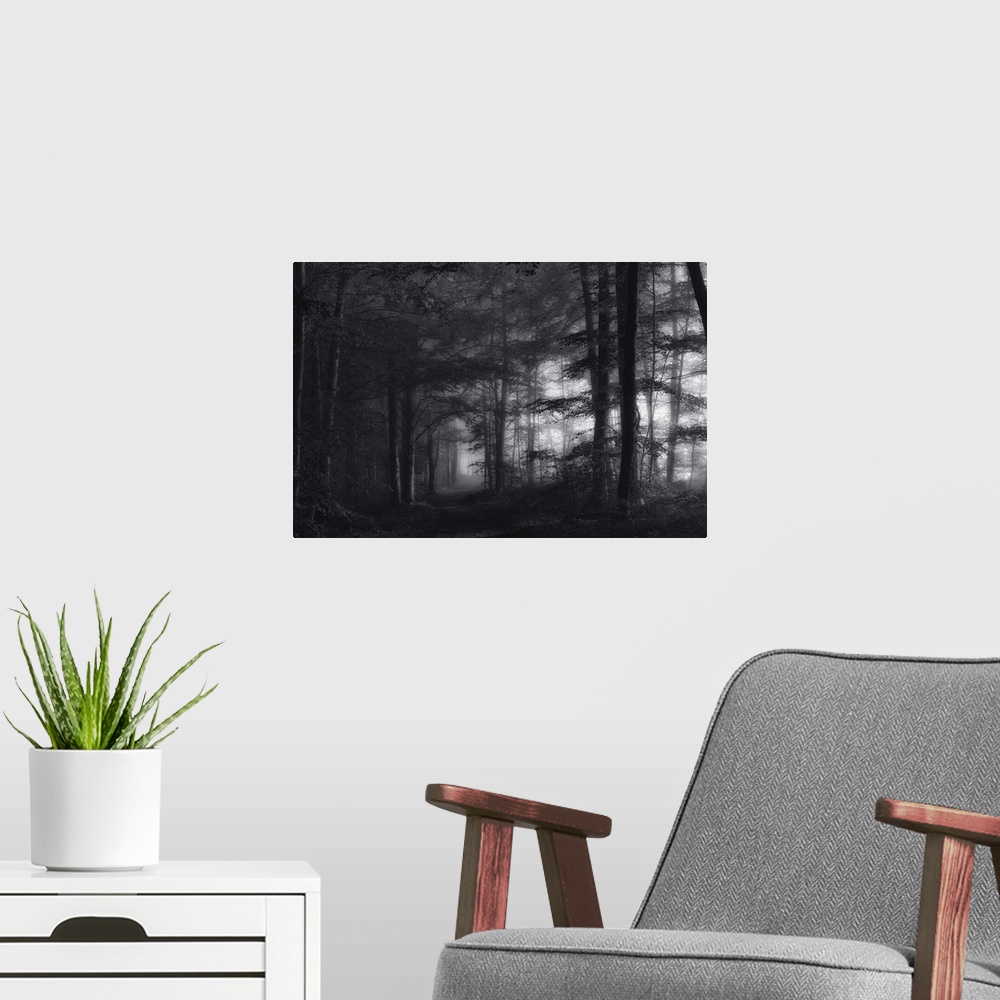 A modern room featuring Black and white image of a misty forest.