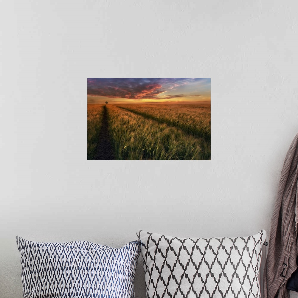 A bohemian room featuring Crops in a field with a tree on the horizon, at sunset, Poland.