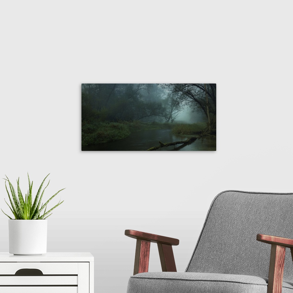 A modern room featuring A gloomy swamp in the forest full of mist.