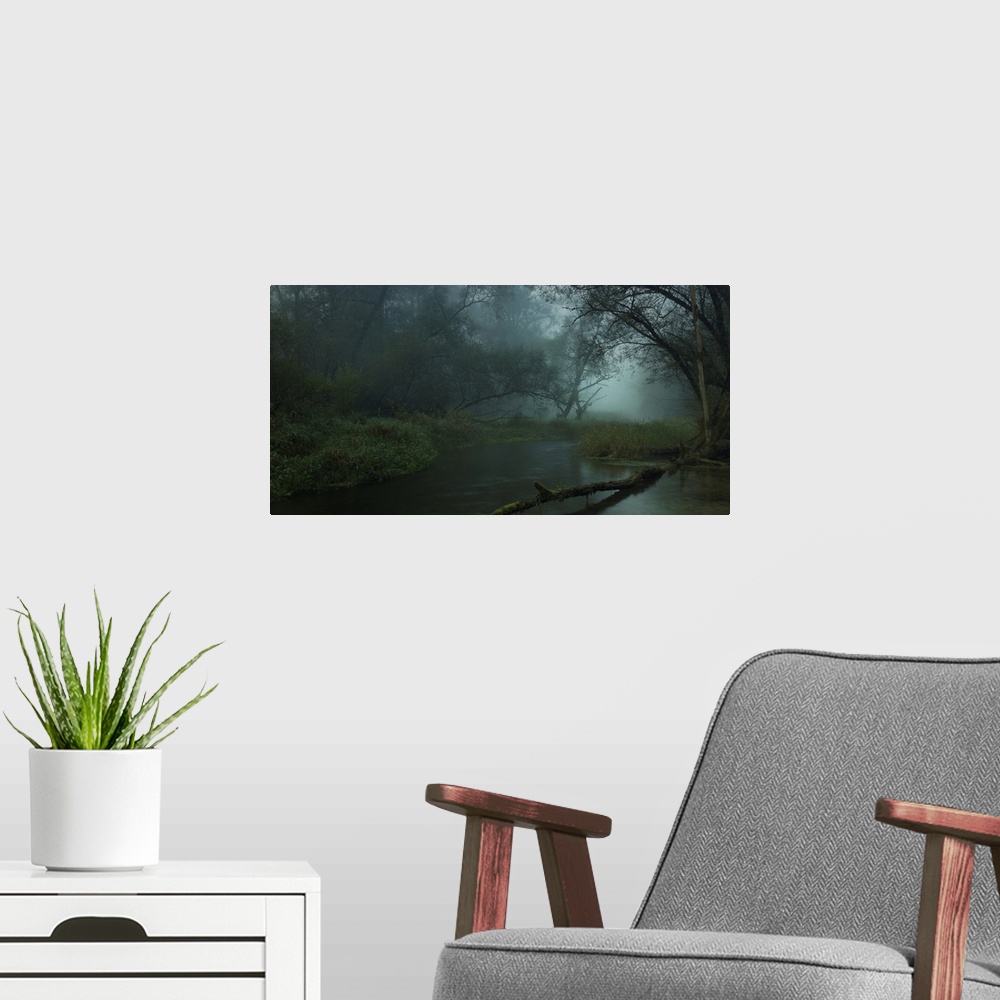 A modern room featuring A gloomy swamp in the forest full of mist.