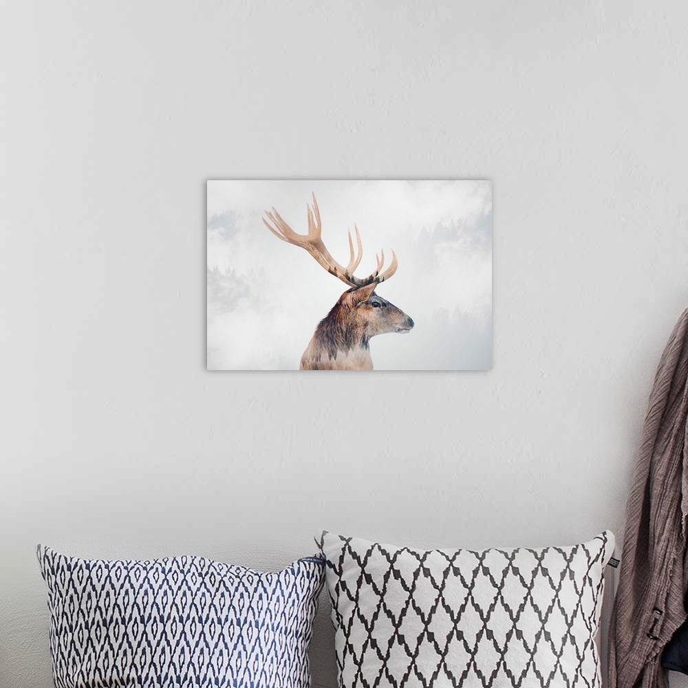A bohemian room featuring Stag