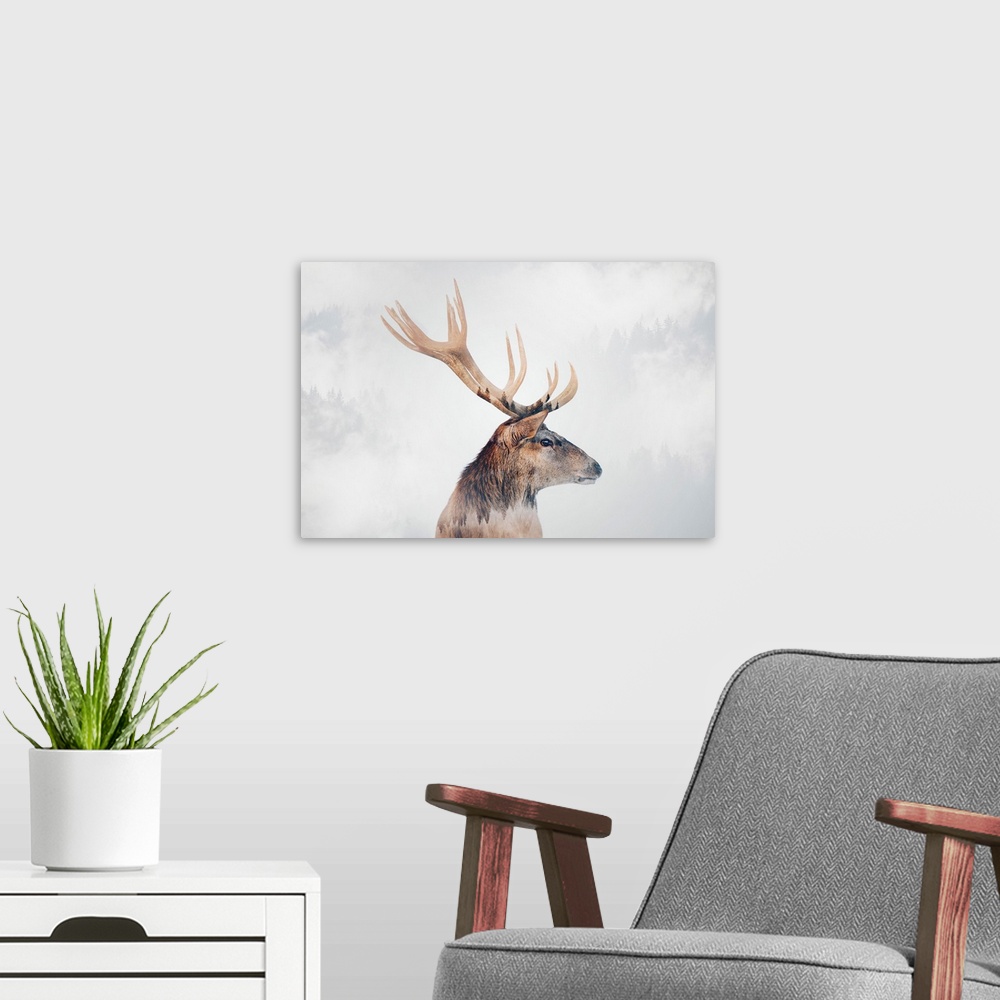 A modern room featuring Stag