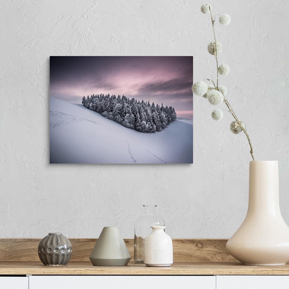 A farmhouse room featuring Cluster of snow covered pine trees in a winter landscape, Kaiserstuhl, Germany.