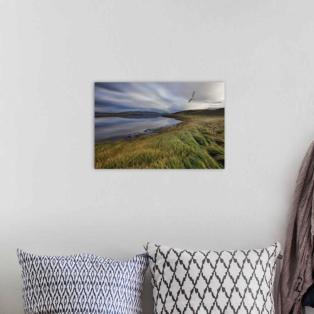 A bohemian room featuring A shore bird flies over a windswept Icelandic landscape.
