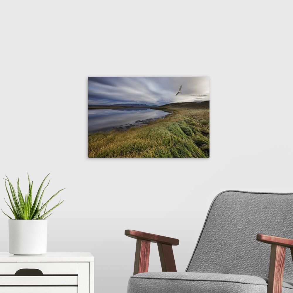 A modern room featuring A shore bird flies over a windswept Icelandic landscape.