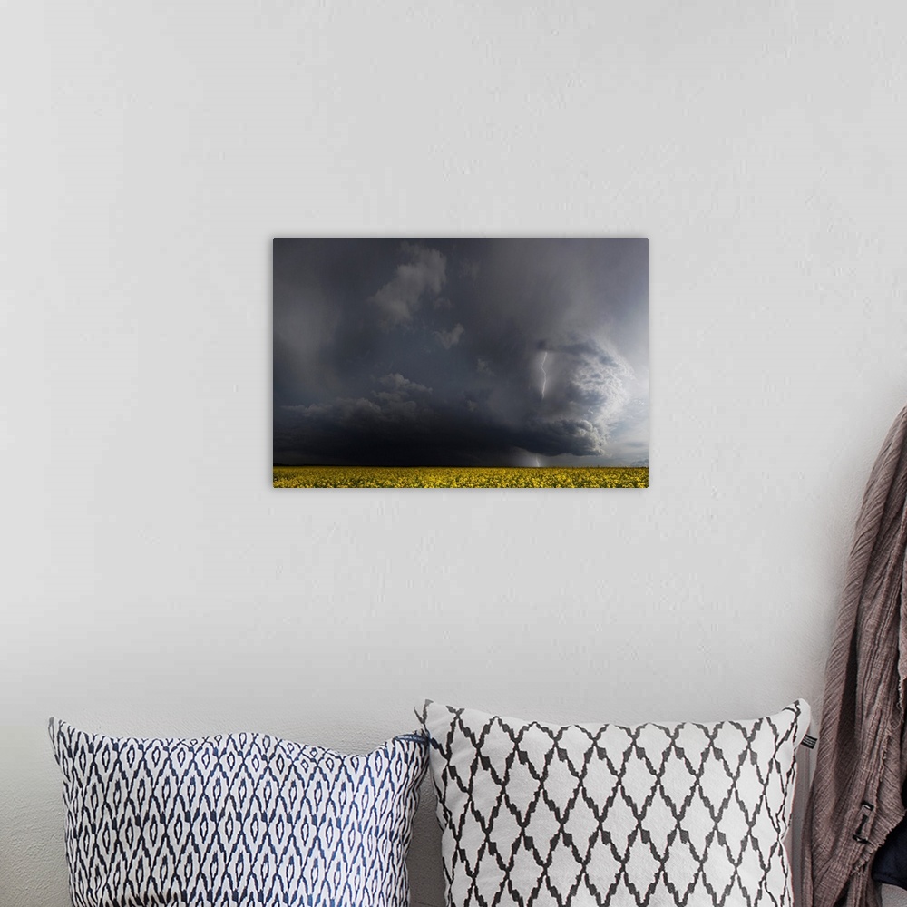 A bohemian room featuring Dark storm clouds with lightning looming over a canola field.