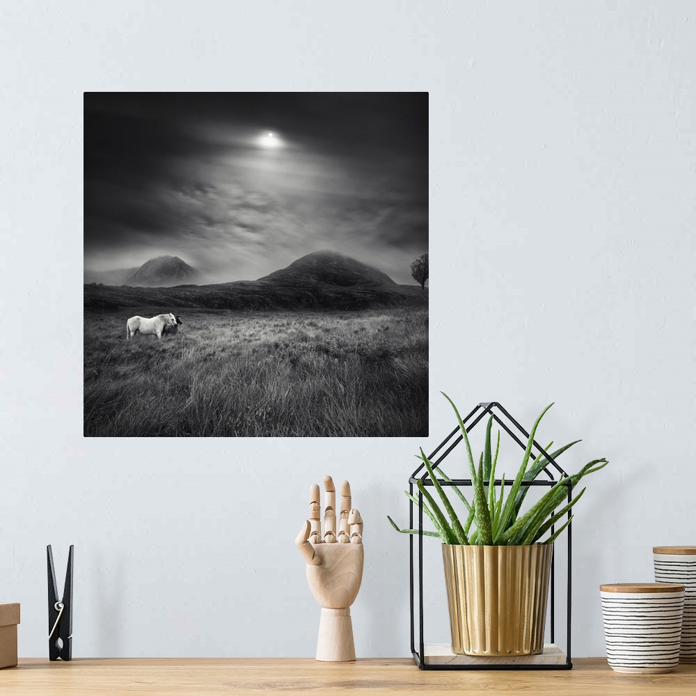 A bohemian room featuring Black and white image of two horses standing a field with the sun shining through the clouds over...