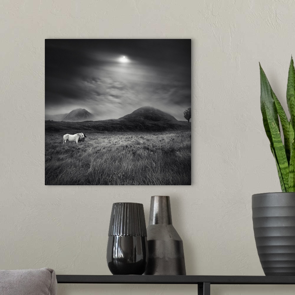 A modern room featuring Black and white image of two horses standing a field with the sun shining through the clouds over...