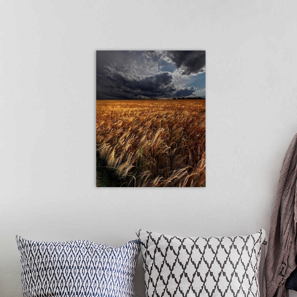 A bohemian room featuring Intense clouds hanging over a field of golden crops.