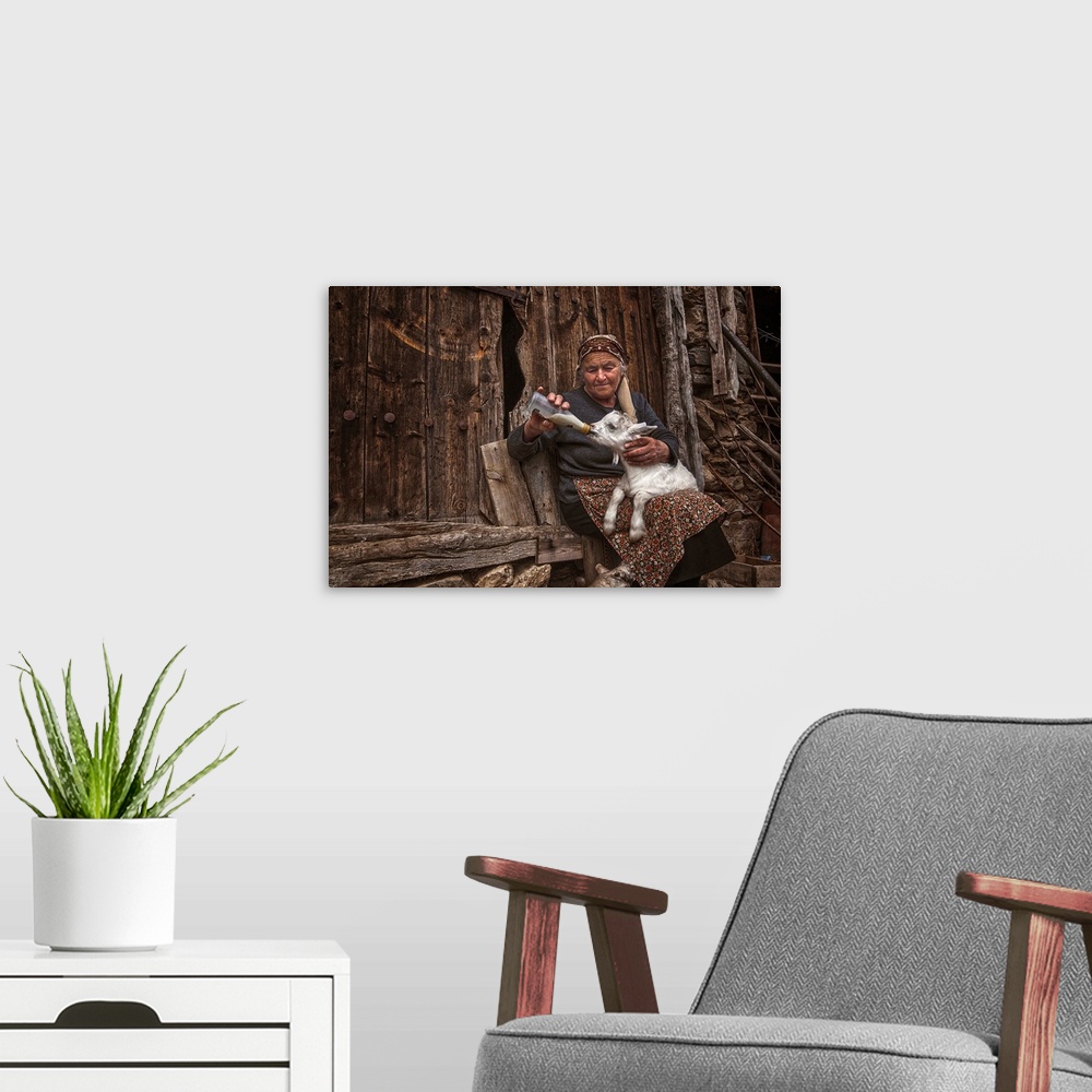 A modern room featuring A portrait of an old woman feeding a young goat.