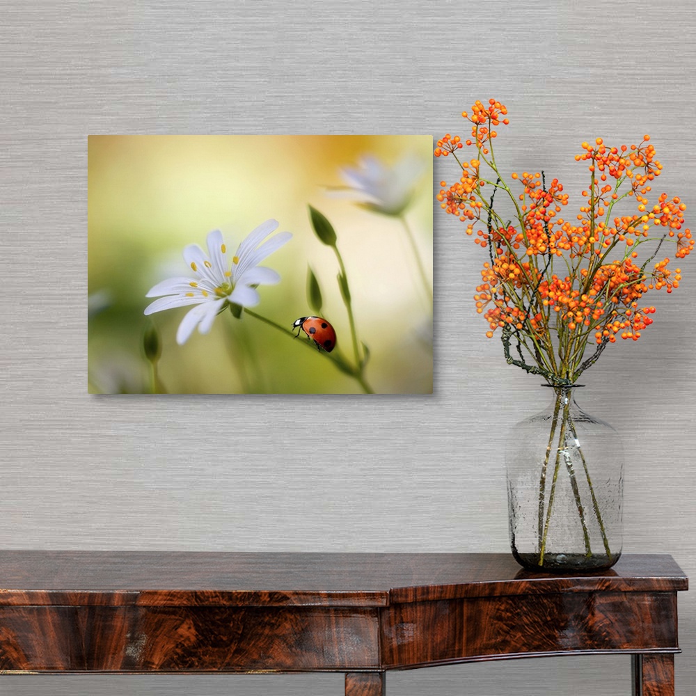 A traditional room featuring A bright red ladybug climbs up the stem of a white flower.