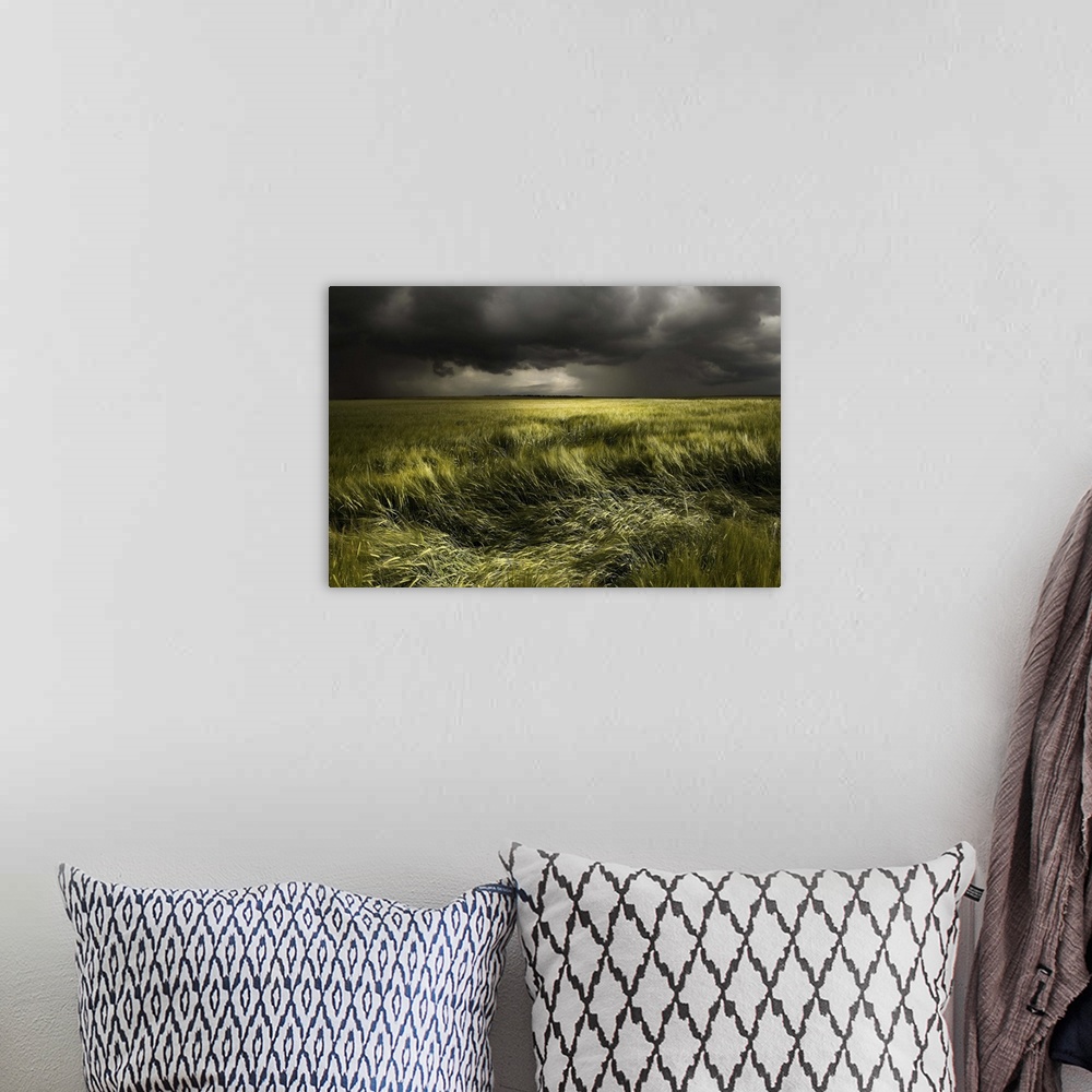 A bohemian room featuring Wind blowing  through a field in Germany, with dark clouds overhead.