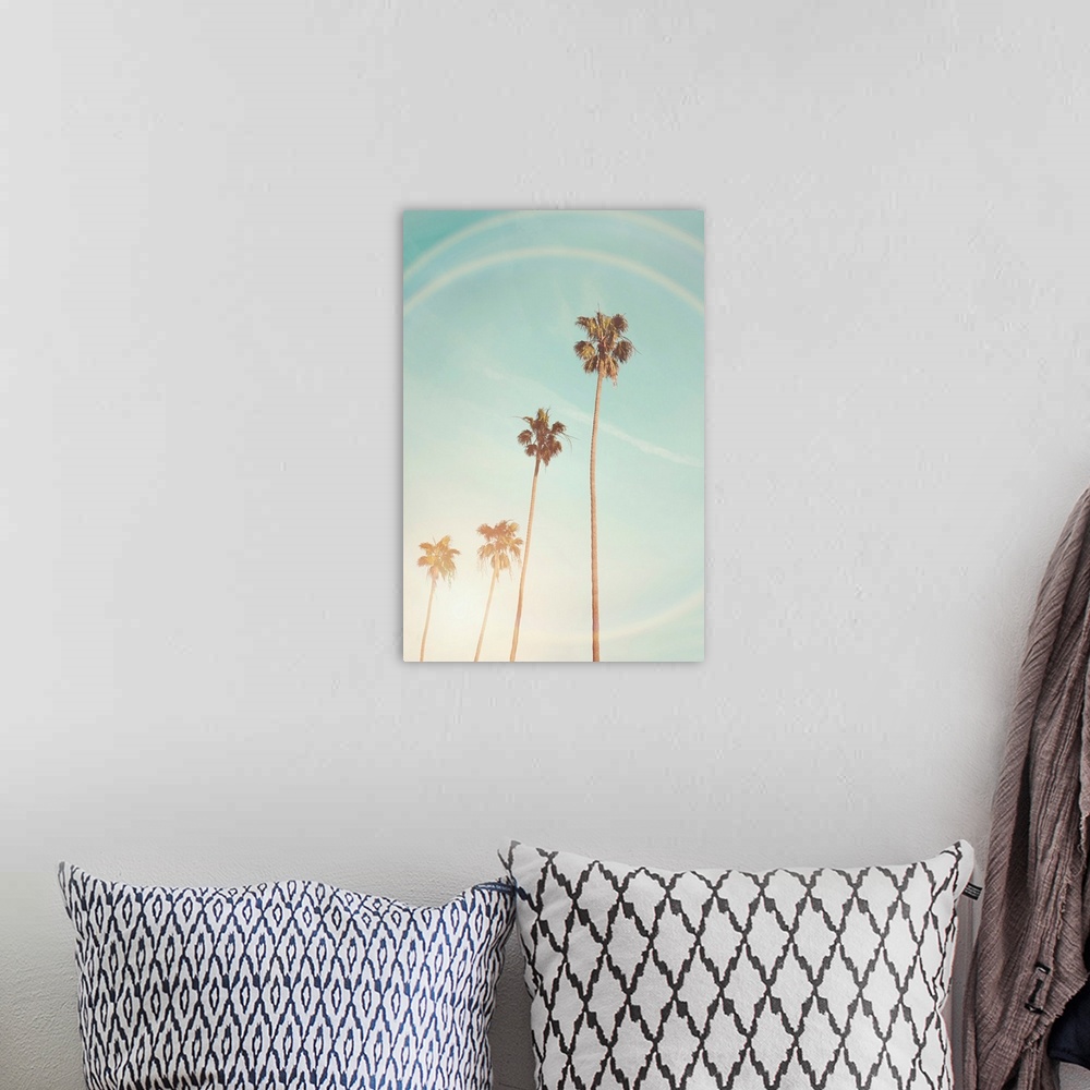 A bohemian room featuring Sunny Cali Palm Tree