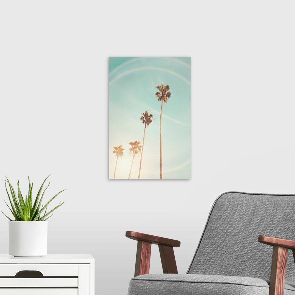 A modern room featuring Sunny Cali Palm Tree