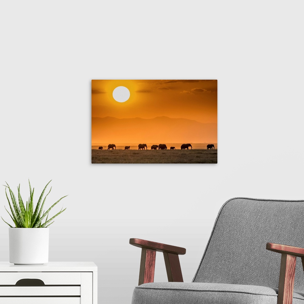 A modern room featuring Sunrise Over Amboseli