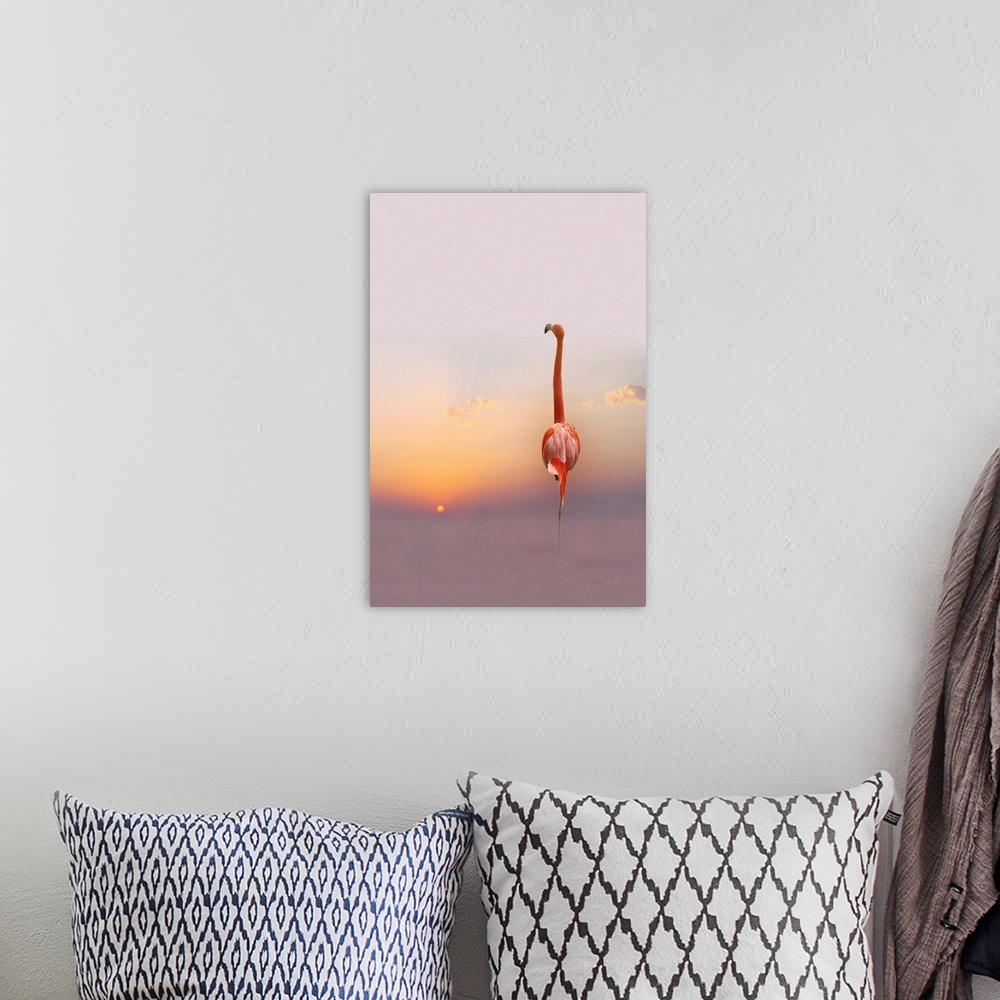 A bohemian room featuring Sunset