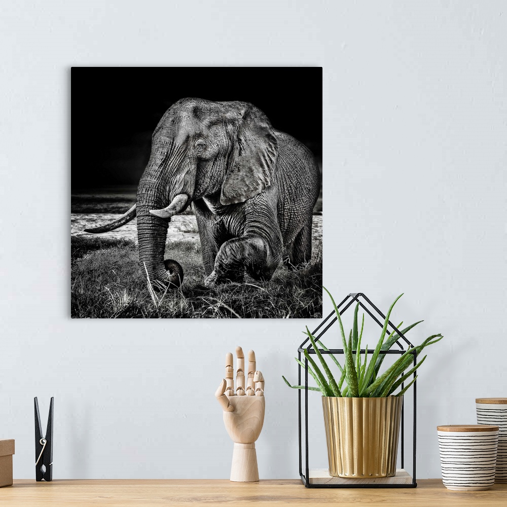A bohemian room featuring Square black and white photograph of an elephant highlighting the contrasting detail in its skin.