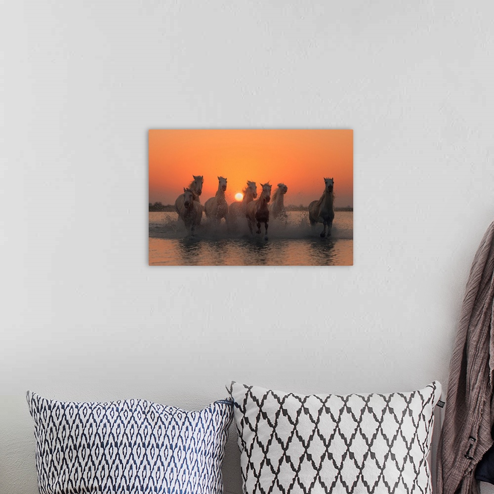 A bohemian room featuring Sunset In Camargue