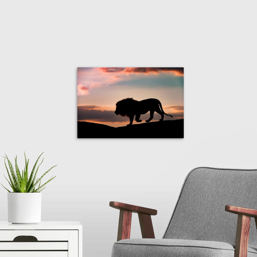 A modern room featuring Sunset In The Serengeti